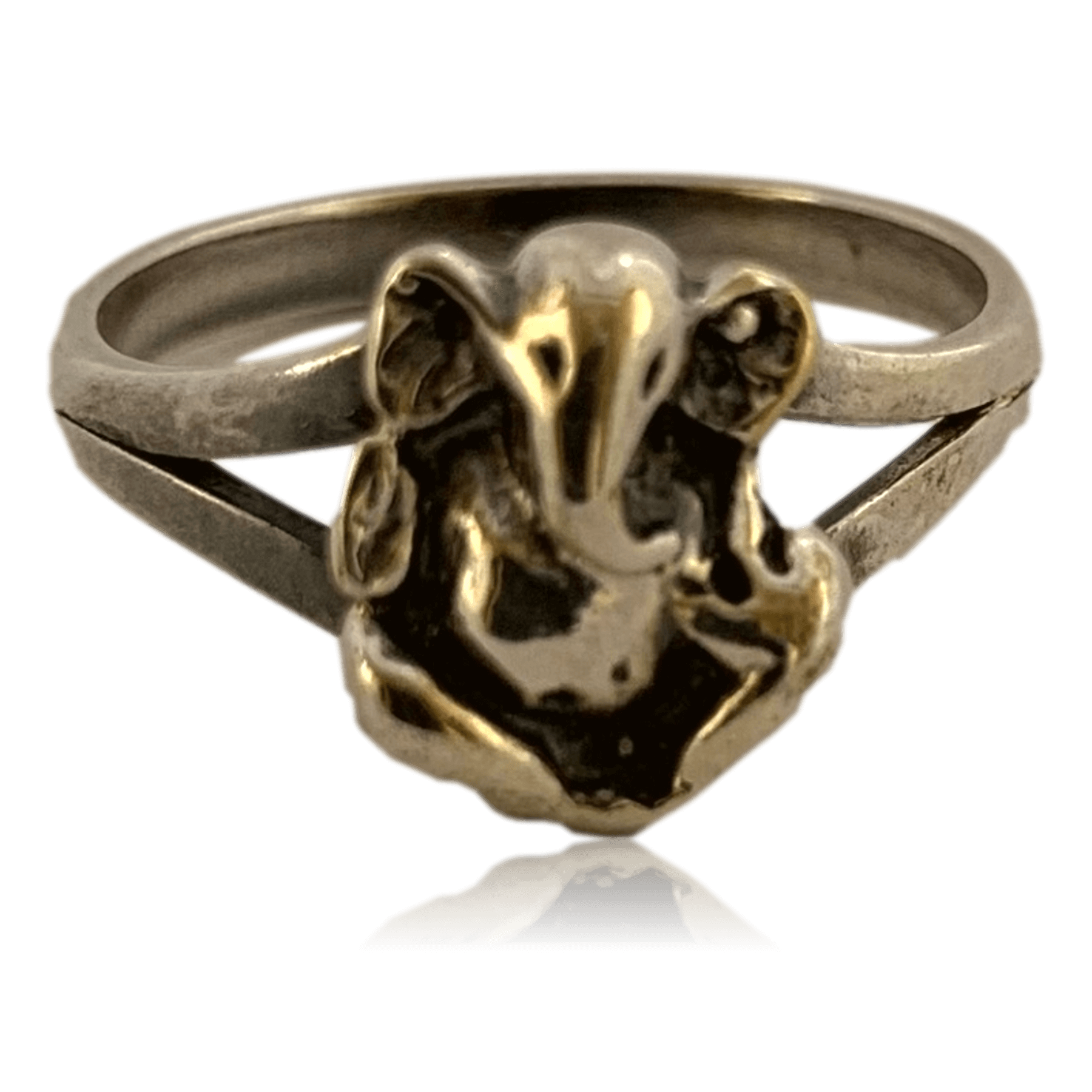 ANILLO GANESH