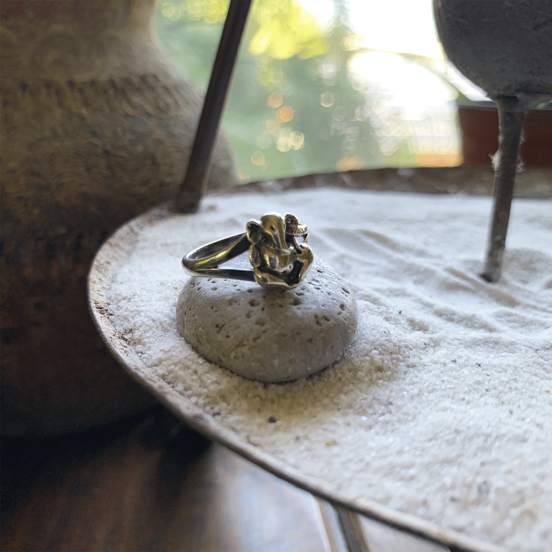 ANILLO GANESH